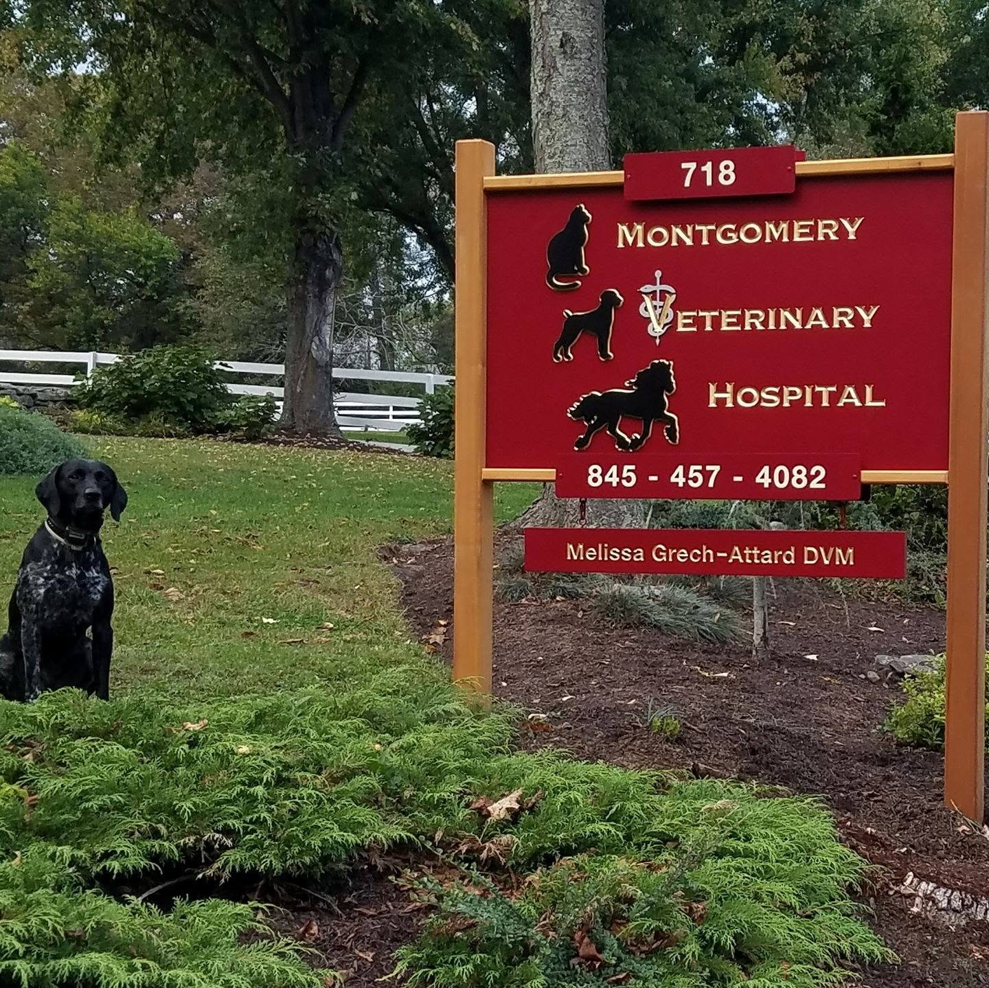 montgomeryvc